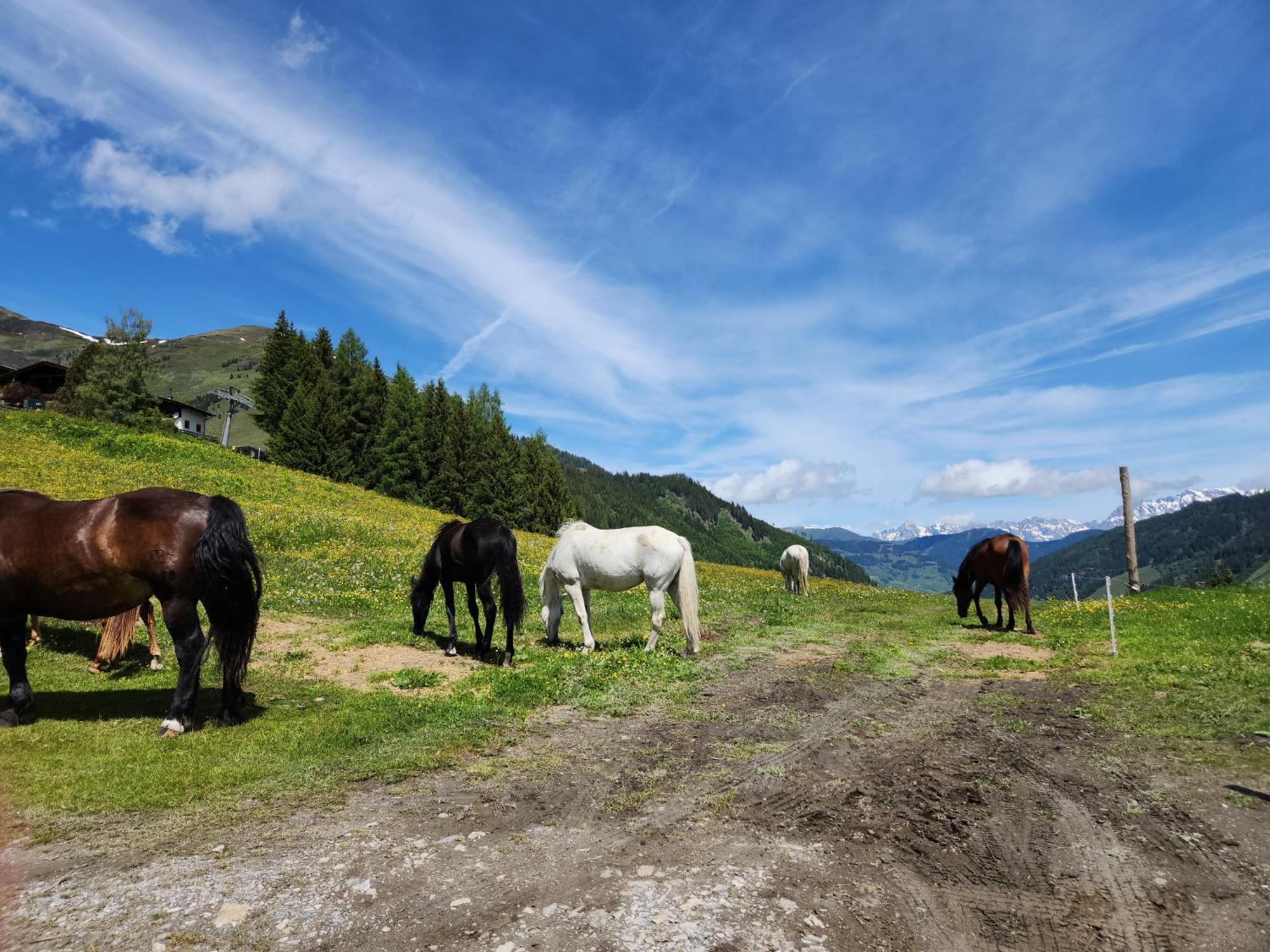 Lipphuette Top Lage Mit Traumhafter Aussicht Раурис Екстериор снимка